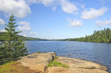 Sabah görünümü bir vahşi doğa göl üzerinde