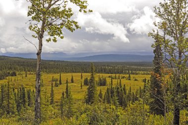 Fırtına bulutları bir yeşil vadi üzerinde
