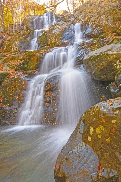 Dolda Falls i skogen på hösten — Stockfoto