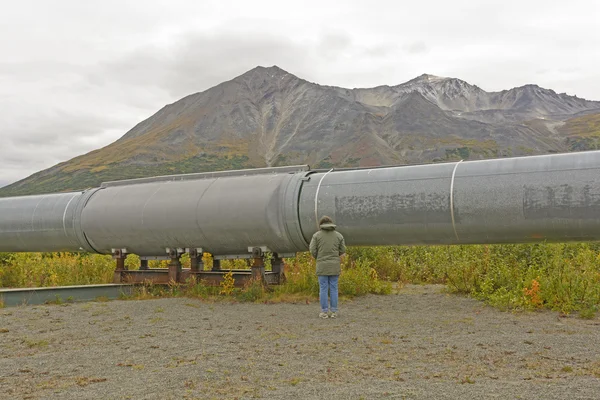 Looking at the Alaska Pipeline — Stock Photo, Image