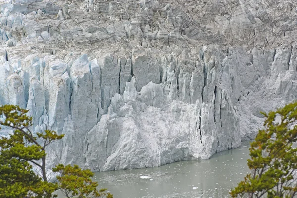 Fronte di ghiaccio di un ghiacciaio Tidewater — Foto Stock