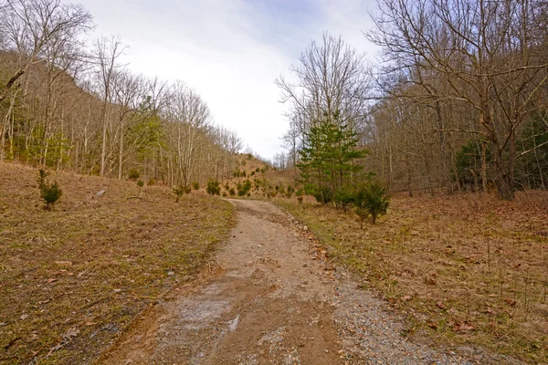 Cumberland Gap dağlarda başlığı — Stok fotoğraf