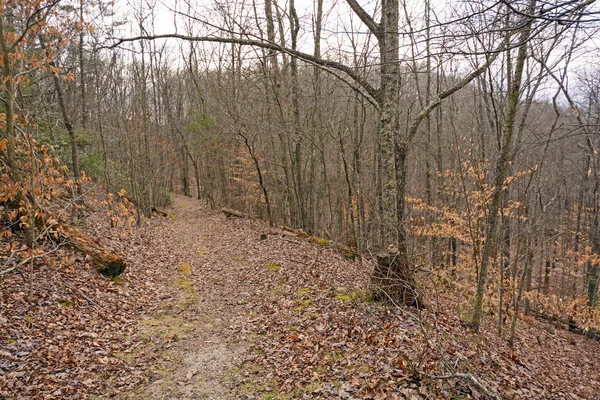 Vildmarksvägen på väg ner från Cumberland klyftan — Stockfoto