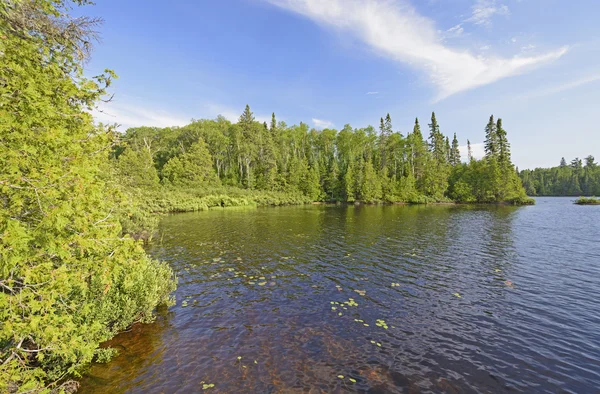 Rustige inham in een North Woods Lake — Stockfoto