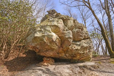 Kumtaşı kaya orman