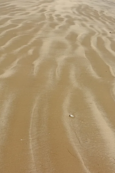 Padrões coloridos em uma praia de areia — Fotografia de Stock