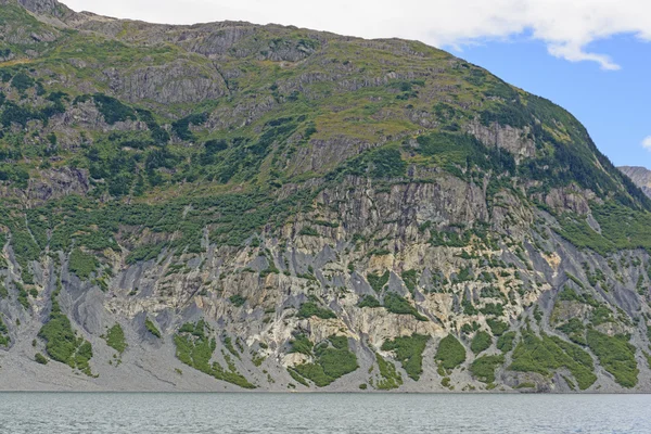 Geërodeerde berg langs een glaciale Fjord — Stockfoto