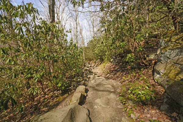 Skalistego szlak w góry — Zdjęcie stockowe