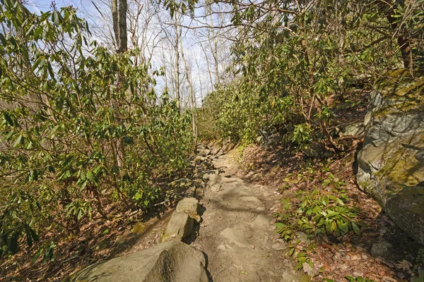 Sendero rocoso hacia las montañas — Foto de Stock