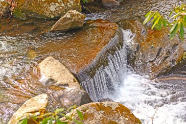 Bir dağ dere içinde küçük çağlayan