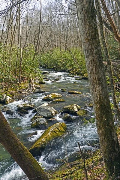 Ruisseau de montagne au début du printemps — Photo