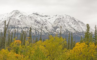 Dağlarda kar ile sonbahar renkleri
