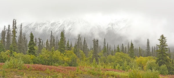 Caída de nieve en las montañas — Foto de Stock