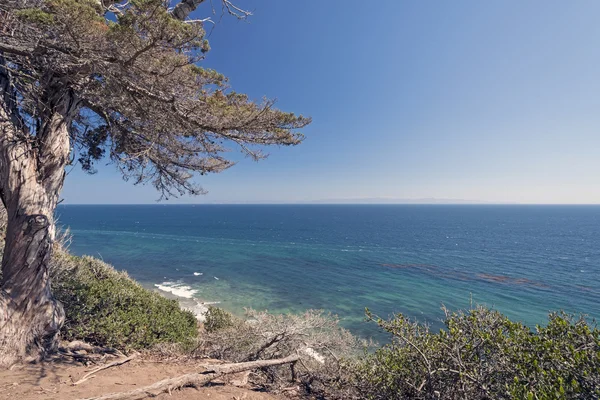 Pacific Ocean from a Coastal Cliff — Stock Photo, Image