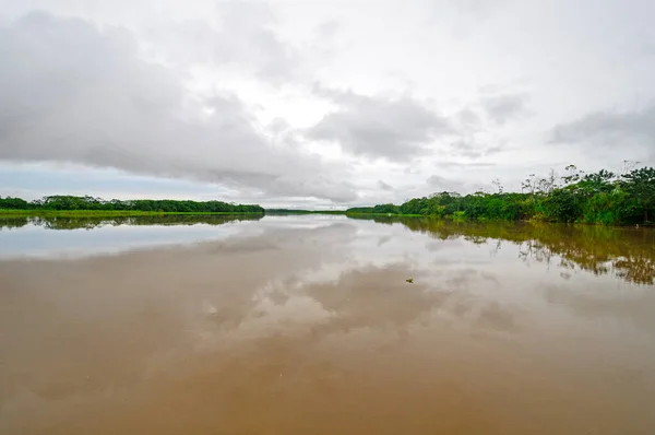 Wody Spokojne Amazonii Pobliżu Iquitos Peru — Zdjęcie stockowe