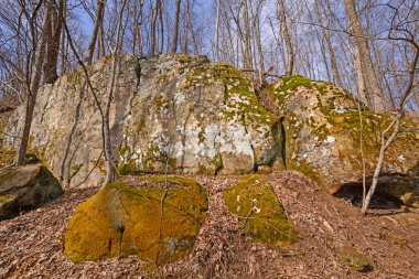 Virginia 'daki CumberlandGap Ulusal Tarih Parkı' ndaki Dağ yamacındaki Büyük Kum Taşı Bloğu