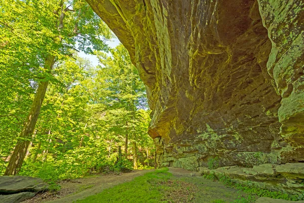 Sandstone Cave Verdant Forest Rim Rock Trail Shawnee National Forest — Stock Photo, Image