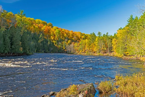 Rushing Waters Menominee River Het Herfstbos Noord Michigan Stockafbeelding