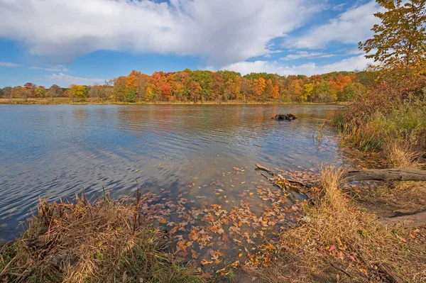 Hojas Otoño Bosque Otoño Lago Tranquilo Ned Brown Preserve Illinois —  Fotos de Stock
