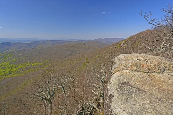 Vroege Lente Appalachen Shenandoah National Park Virginia — Stockfoto