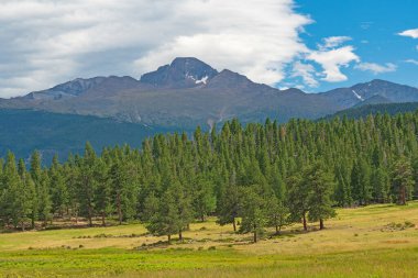 Colorado 'daki Rocky Dağı Ulusal Parkı' ndaki Alp Çayırı 'nın karşısındaki Uzun Tepeler