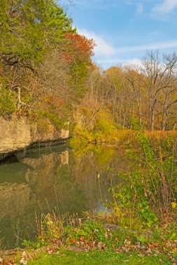 Illinois 'deki White Pines State Park' ta Sakin Sonbahar Sabahı