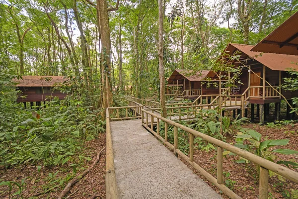 Cabañas Turísticas Una Selva Tropical Parque Nacional Tortuguero Costa Rica — Foto de Stock