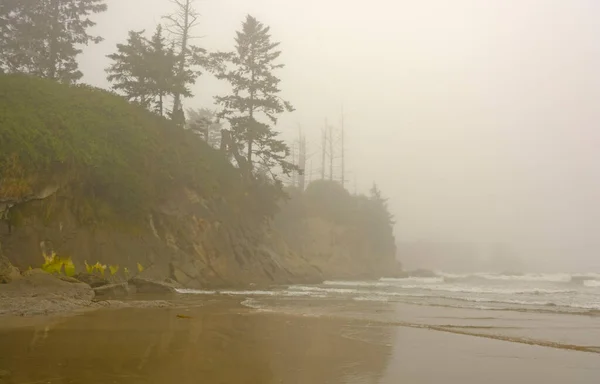 Ранковий Туман Узбережжі Тихого Океану Пляжі Лайтхаус Поблизу Чарлстона Штат — стокове фото