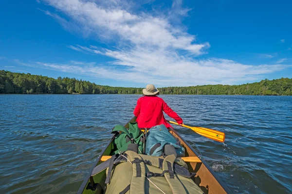 Remando Para Natureza Selvagem Crooked Lake Silvânia Wilderness Michigan — Fotografia de Stock