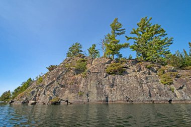 Minnesota 'daki Kekabic Gölü' ndeki Kuzey Ormanı 'nda Çıplak Kaya' da Görkemli Çamlar büyüyor