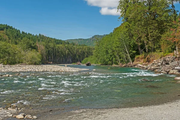 Kustbergstroom Rushing Naar Oceaan Olympic National Park Washington — Stockfoto