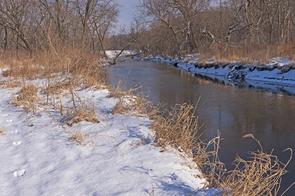 Flusso Tranquillo Nel Bosco Invernale Ned Brown Preserve Illinois — Foto Stock