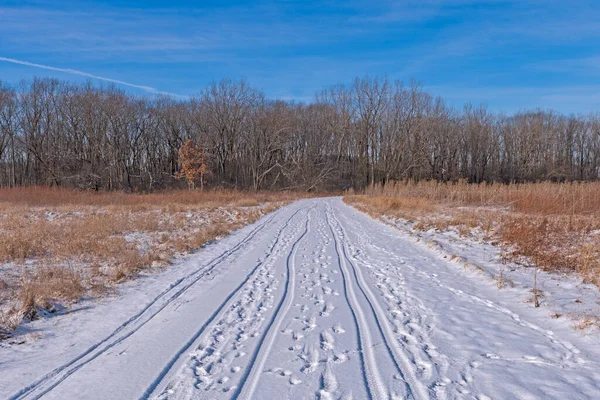 Winterwanderweg Wald Ned Brown Preserve Illinois — Stockfoto