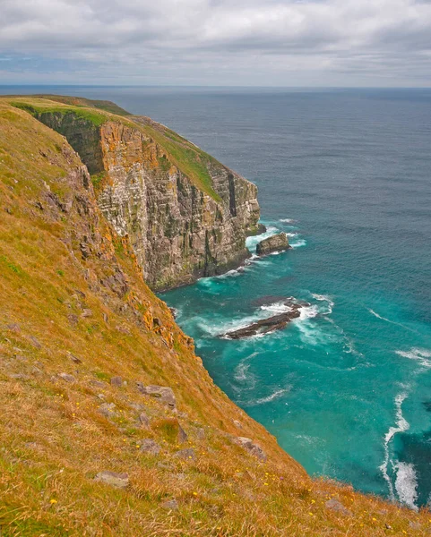 Steep Cliffs Leading Rocky Bay Cape Mary Newfoundland Canada — Stock Photo, Image