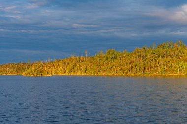 Güneş Ağaçları Mavi Gök 'e ve Göl' ü Minnesota 'daki Sınır Suları' ndaki Bıçak Gölü 'ne Resmediyor