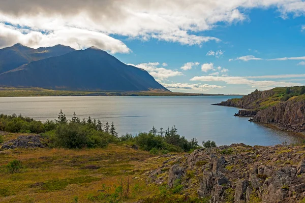 Fiordo Costero Día Soleado Cerca Borgarnes Islandia —  Fotos de Stock