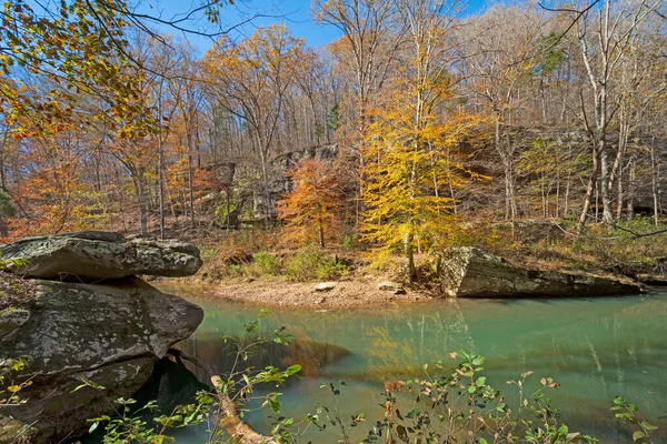 Fall Colors Quiet Forest Creek Στη Γραφική Περιοχή Bell Smith — Φωτογραφία Αρχείου