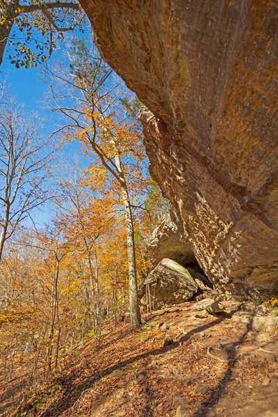 Dramatic Overhang Quiet Forest Bell Smith Springs Recreation Area Illinois — Stock Photo, Image