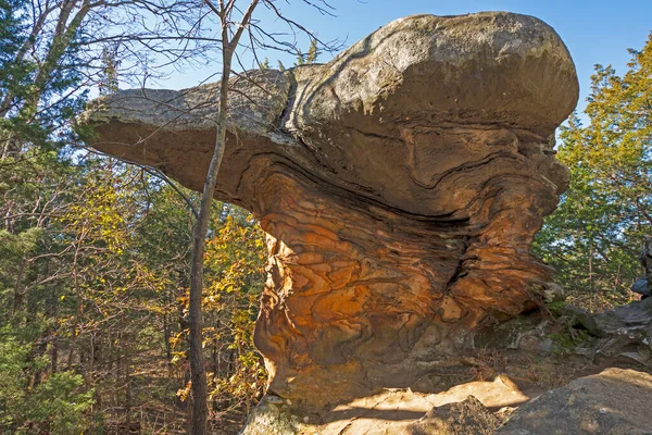Formaciones Roca Bizarro Bosque Área Recreación Gardenof Gods Illinois —  Fotos de Stock
