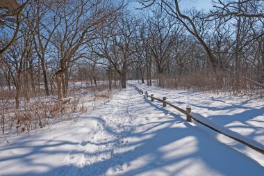 Illinois Crabtree Doğa Merkezi 'nde Kışın Orman Yolu