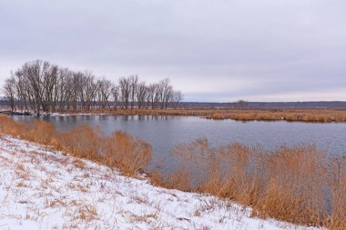 Illinois, Fulton yakınlarındaki Mississippi Nehri 'nde Issız Bir Vahşi Yaşam Sığınağında Sessiz Kar yağışıweather forecast