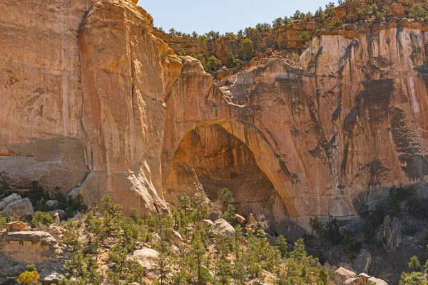 Verborgen Ventana Boog Een Zandstenen Vallei Malpais National Monument New — Stockfoto