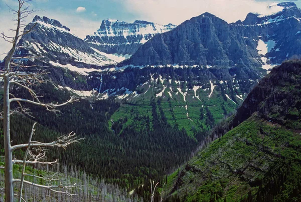 Sommar Snö Spektakulära Toppar Nära Logan Pass Glacier National Park — Stockfoto