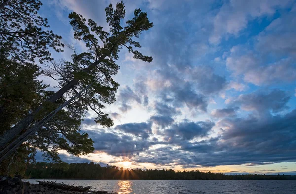 Tiltad Träd Med Dramatisk Himmel Vid Solnedgången Saganaga Sjön Gränsen — Stockfoto