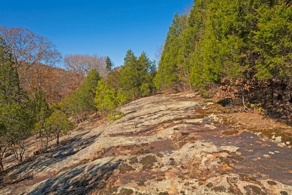 Bare Sandstone Ridge Amogst Drzewa Bell Smith Springs Scenic Area — Zdjęcie stockowe