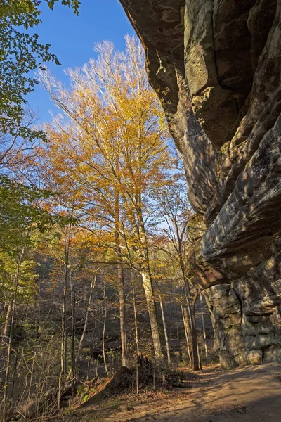 Fall Colors Peeking Out Dramatic Overhang Rim Rock National Recreational — Stock fotografie