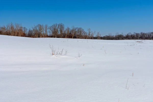 Neve Incontaminata Campo Aperto Nel Centro Naturale Del Granchio Illinois — Foto Stock