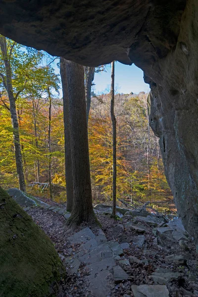 Coming Out Fall Secluded Trail Rim Rock National Trail Southern — Stock Photo, Image