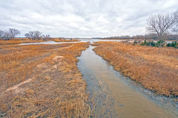 Isola Nel Fiume Platte Inverno Vicino Kearney Nebraska — Foto Stock