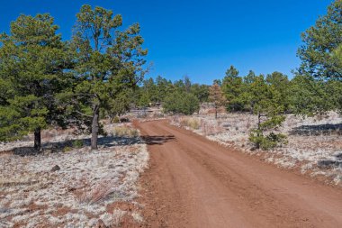 New Mexico 'daki El Malpais Ulusal Anıtı' nda volkanik bir arazide Kırmızı Toprak Yol